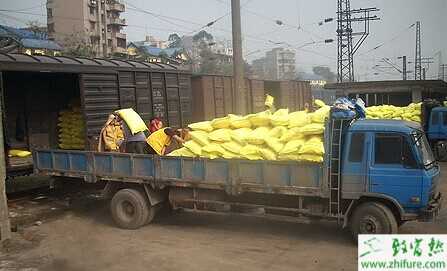 農村創業致富做什么好?六個農村項目淺析