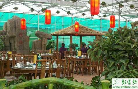 純養殖已過時！養殖場加餐館打造生態農家樂