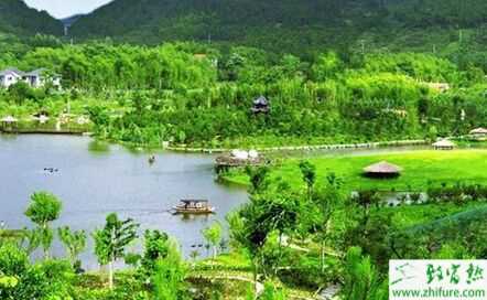 休閑農業走熱 創業創意點子盤點