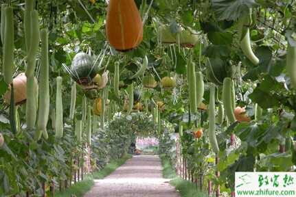 現代農村創業致富路上需注意的幾點