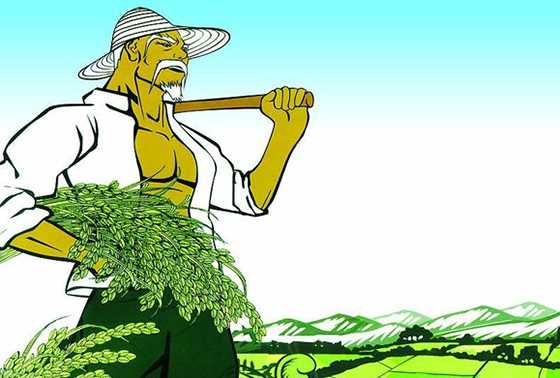 2014年最熱農民致富創業項目推薦