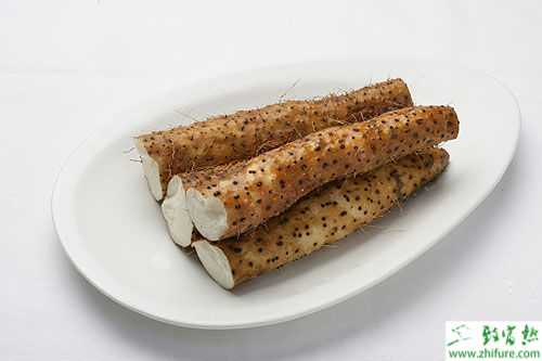 2014種山藥賺錢嗎