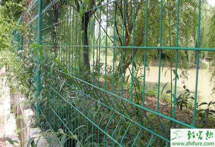 鱷魚養(yǎng)殖安全管理方法及制度措施