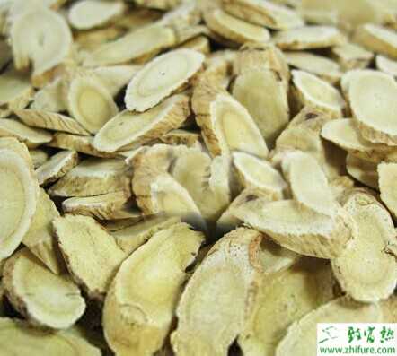 黃芪種子怎么種