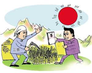 【廈門】青年農村創業可享貸款貼息