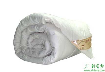 蠶絲被是真的嗎？蠶絲被騙局曝光