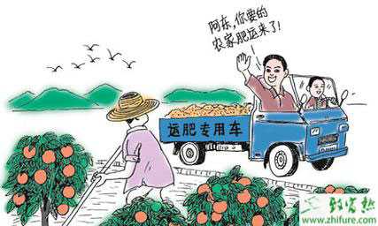 鄉鎮農村5萬元以內開店創業致富項目推薦