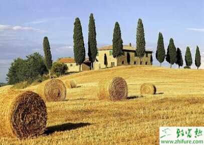 為什么很多人農村創業失??？