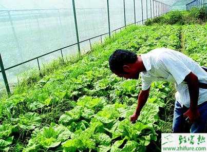 農村創業規劃思路分析