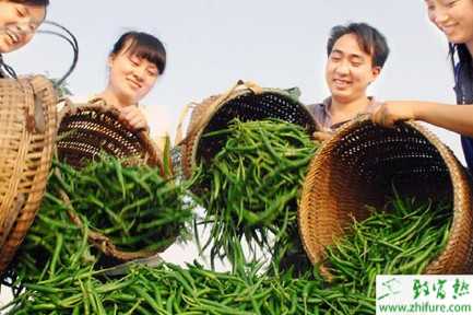 2014農村創業項目好點子