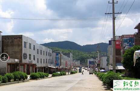 最新小投資鄉(xiāng)鎮(zhèn)創(chuàng)業(yè)項(xiàng)目分享