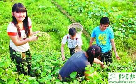 為什么大學生農村創業難？資金成最大障礙