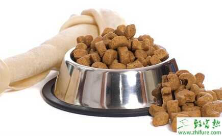 寵物狗糧的選擇及鑒別方法
