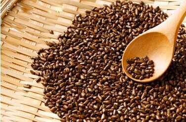 2014種決明子賺錢嗎？