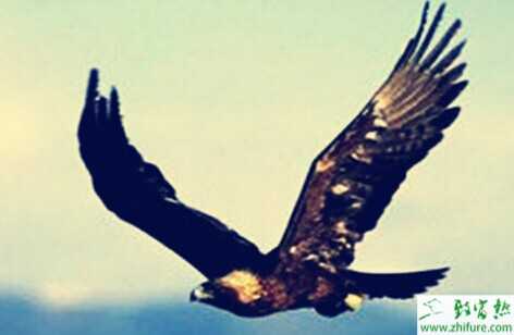 獻給想創業、即將創業的人