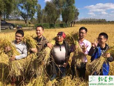 怎樣才算成為農業精英？