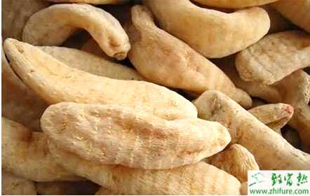 根據不同氣溫條件種植天麻