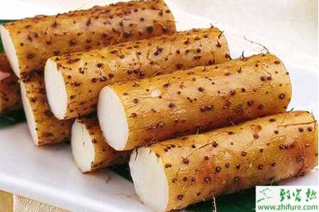 種山藥要高產必須抓關鍵