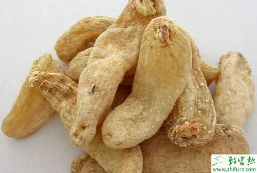 2015種天麻賺錢嗎？2015天麻種植前景及市場價格分析