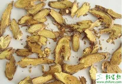 2015種黃芩賺錢嗎？2015黃芩種植前景及市場價格分析