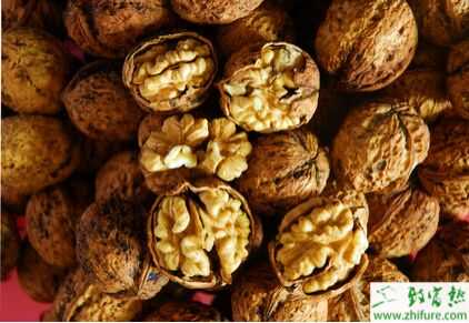 2015種核桃賺錢嗎?2015核桃種植前景及市場(chǎng)價(jià)格分析