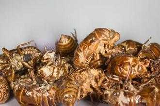 2015中藥材行業(yè)值得關(guān)注的創(chuàng)業(yè)項(xiàng)目