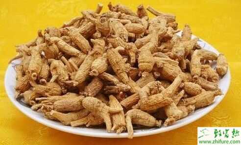 2015西洋參市場前景不是很樂觀