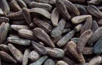 2015中藥材行業(yè)高風(fēng)險項目提示_牛蒡子