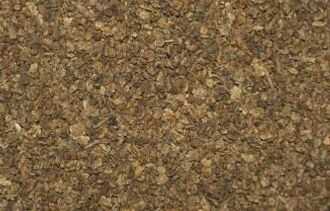 2015中藥材行業(yè)高風(fēng)險項目提示_地膚子