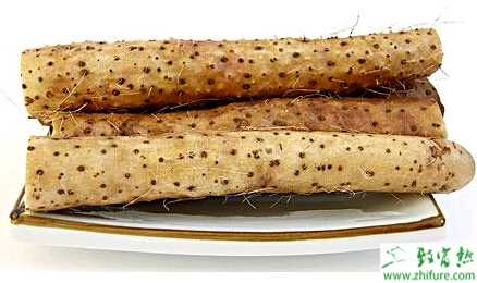 種山藥高畦的栽培技術