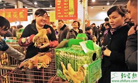 農戶要賺錢 別只盯過年