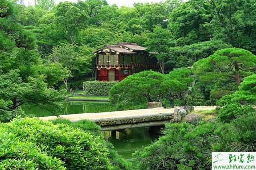 什么是“富碳農(nóng)業(yè)”？一種全新的農(nóng)業(yè)理念和模式