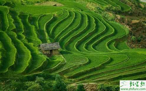 2015農業領域創業的十二個方向