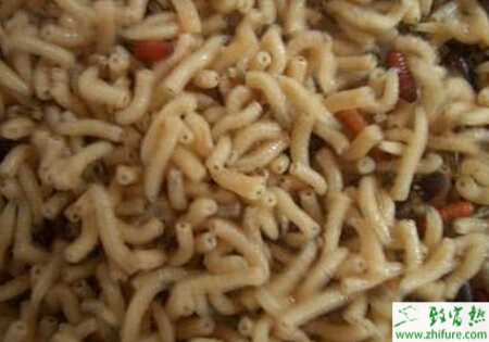 養蠅蛆賺錢嗎？