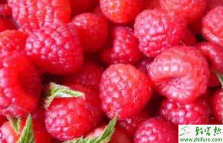 種樹莓豐產(chǎn)栽培管理