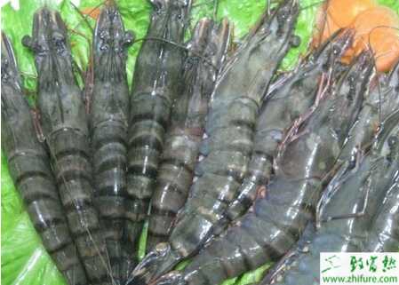 養殖對蝦投苗六大注意事項