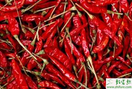 種辣椒種子病害防治方法