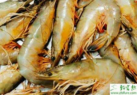 養殖對蝦絲狀細菌病的防治