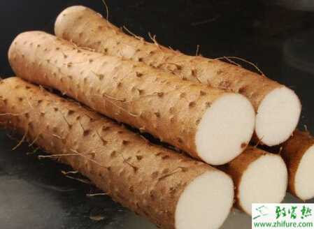 種山藥無公害施肥技術(shù)規(guī)范