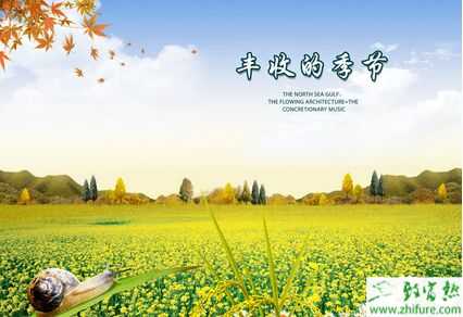 投資農業，你做好準備了嗎？