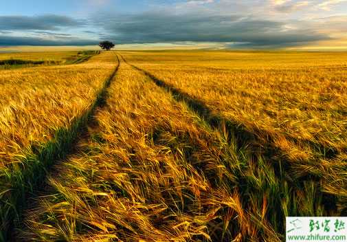 如何在農村尋找創業賺錢的項目?