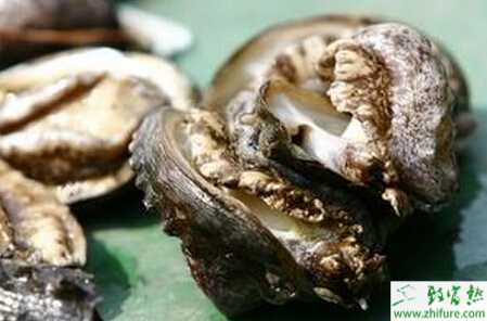 養殖鮑魚技術關鍵