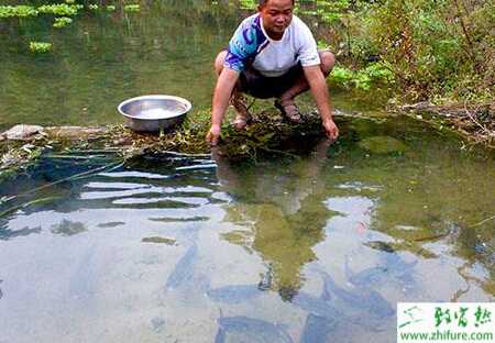 養魚生長旺季需要注意九個方面