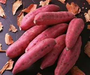 紅薯
