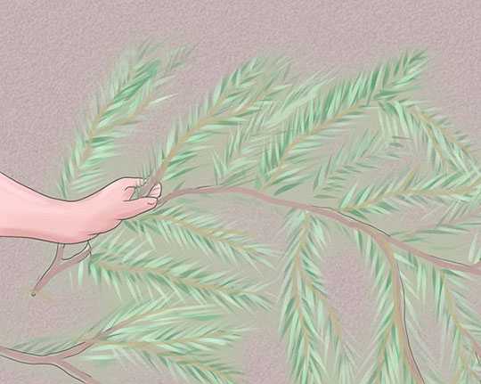 僅在需要水時澆灌百合花