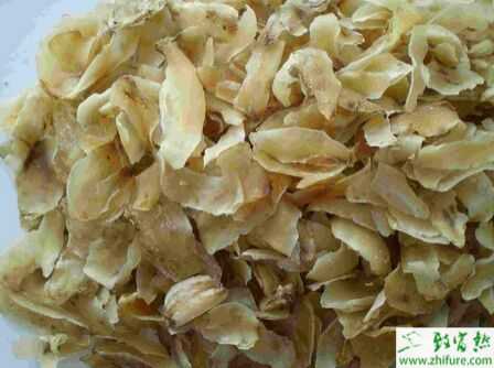 百合的收獲與加工方法