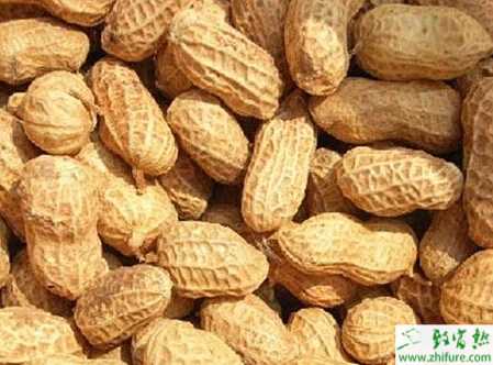 種秋花生防治病蟲害