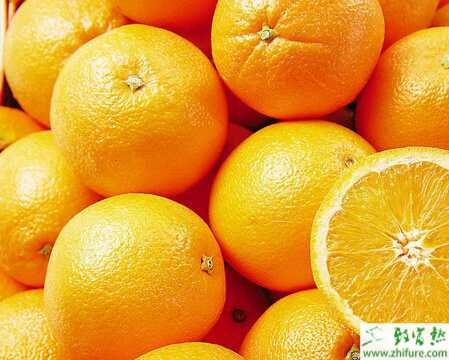 種臍橙四季的三保