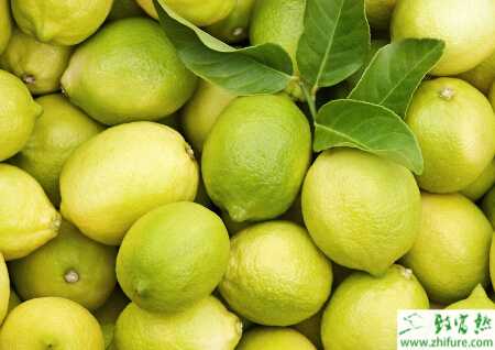 種檸檬保花保果新措施