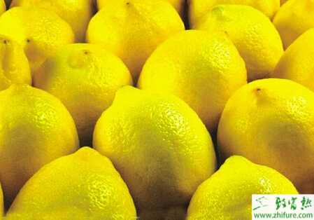 種檸檬鮮果采收技術(shù)要求